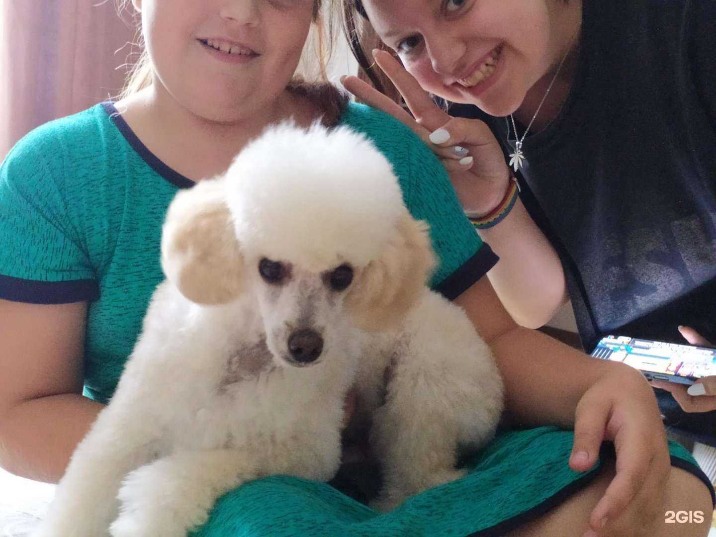 Отзывы на компанию Красный кролик в Новосибирске c фото