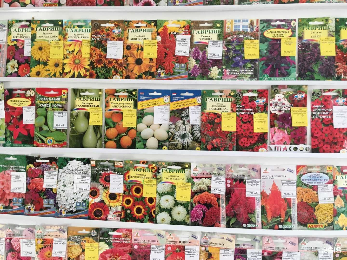 Отзывы на компанию Планета семян в Ульяновске c фото