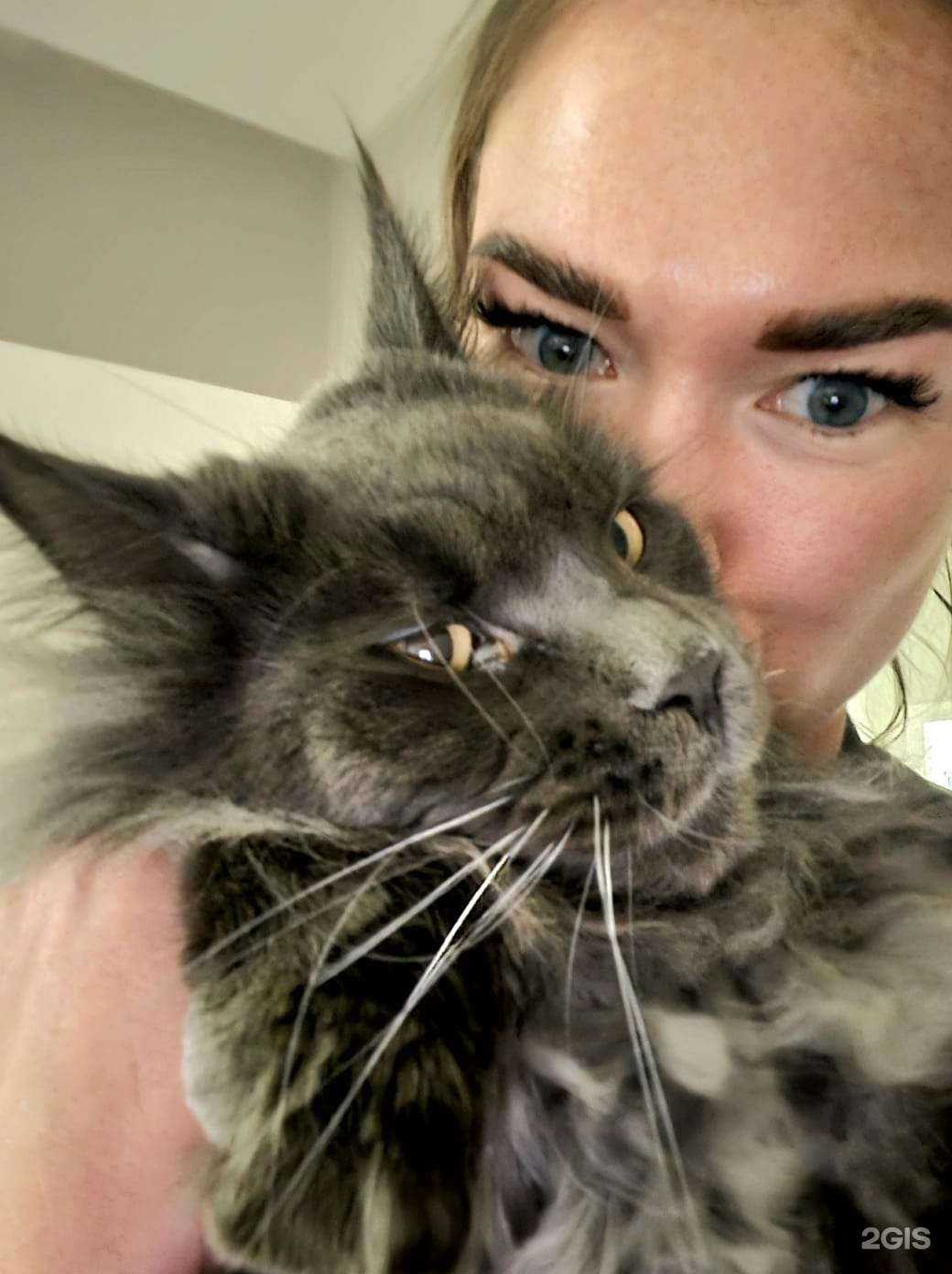 Отзывы на компанию Lyla в Екатеринбурге c фото