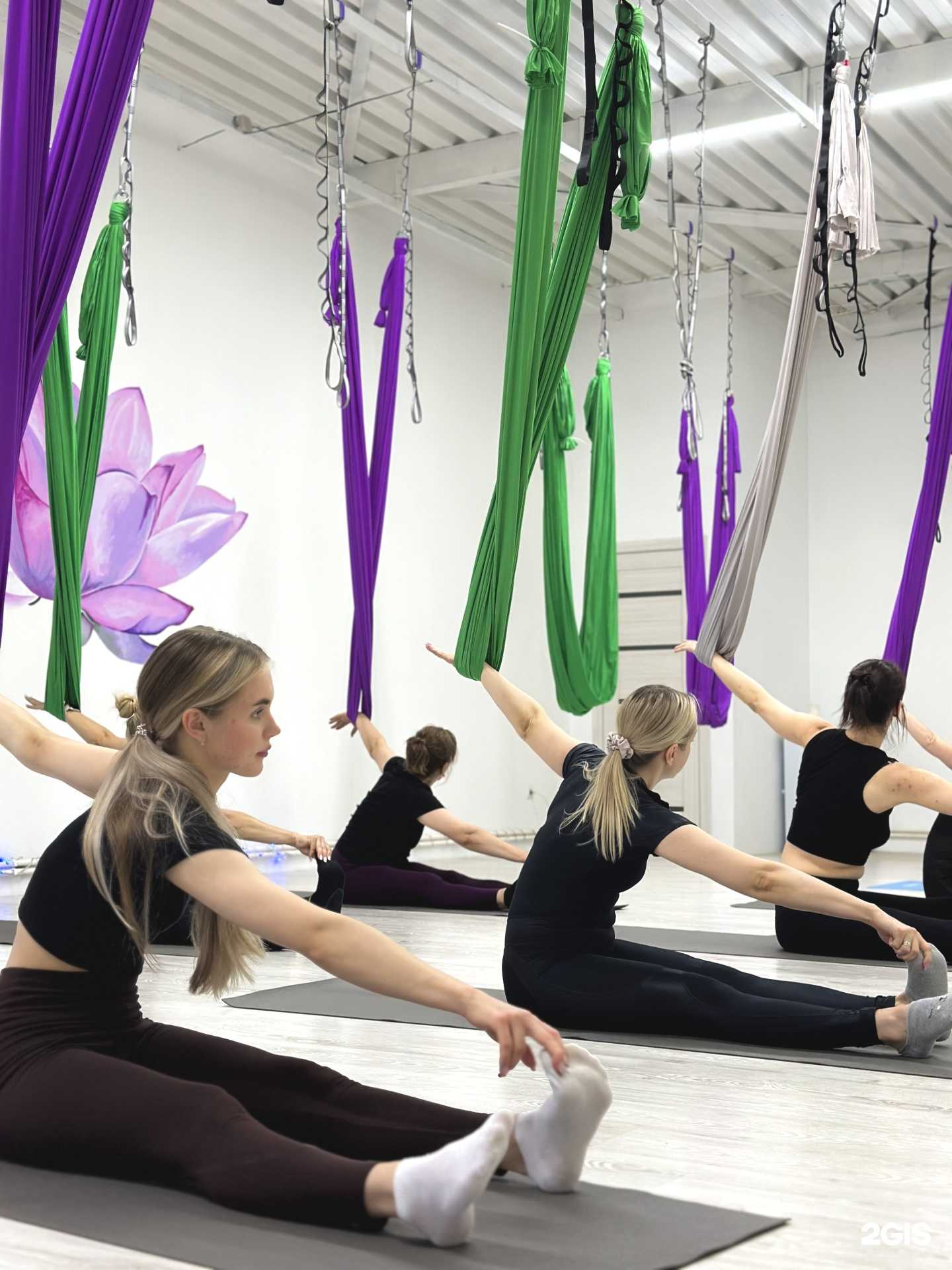 Отзывы на компанию Лотос мира в Волгодонске c фото