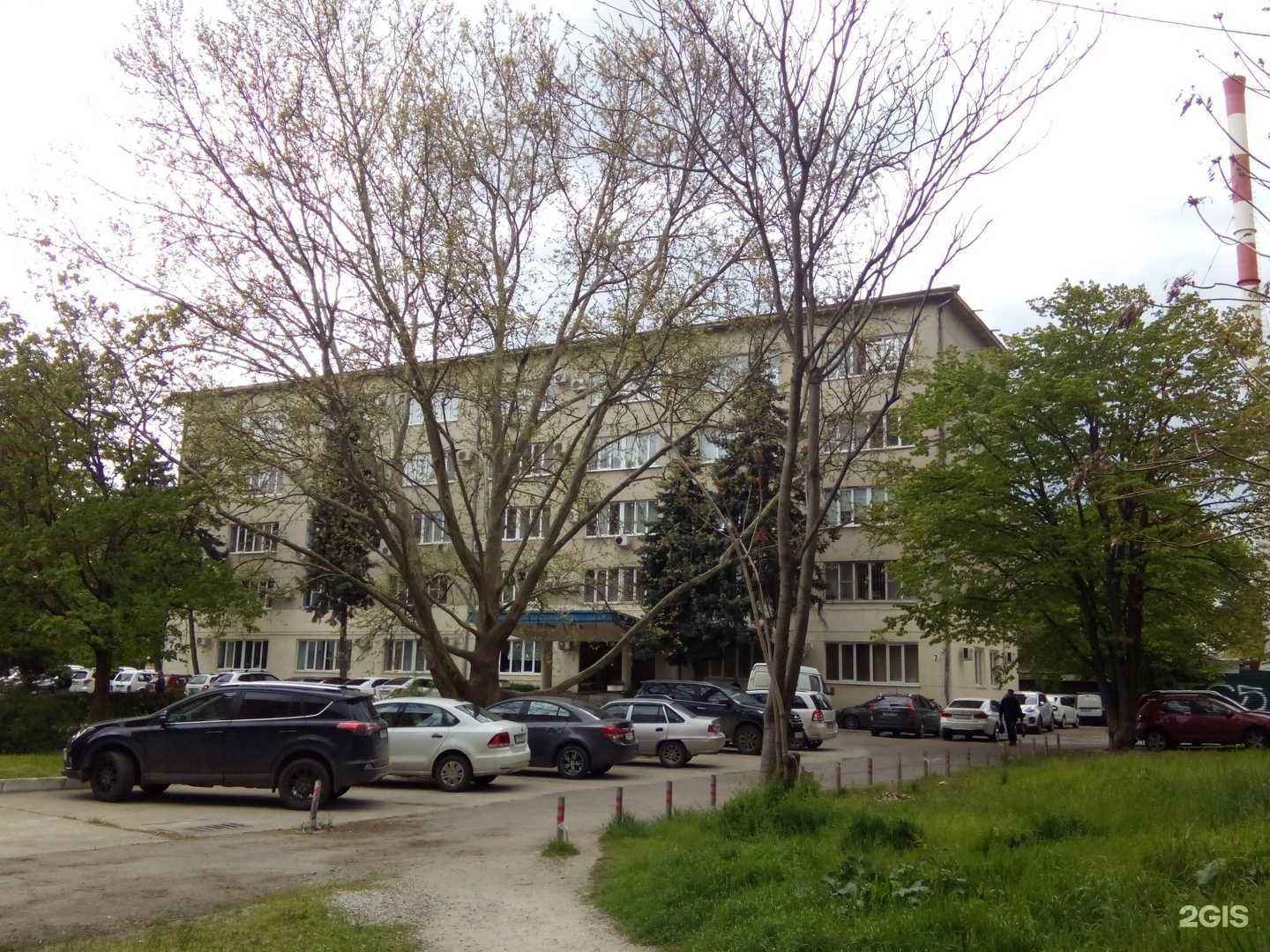 Отзывы на компанию PhysMath school в Краснодаре c фото - фотография 2 из 2