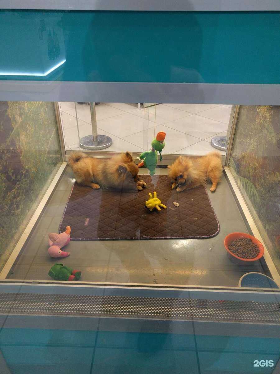 Отзывы на компанию Бетховен в Коммунарке c фото