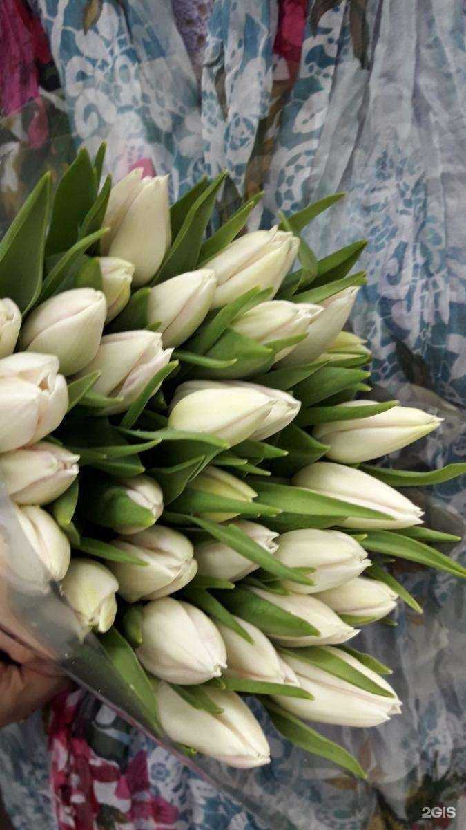 Отзывы на компанию ADORA в г. Кемерово c фото