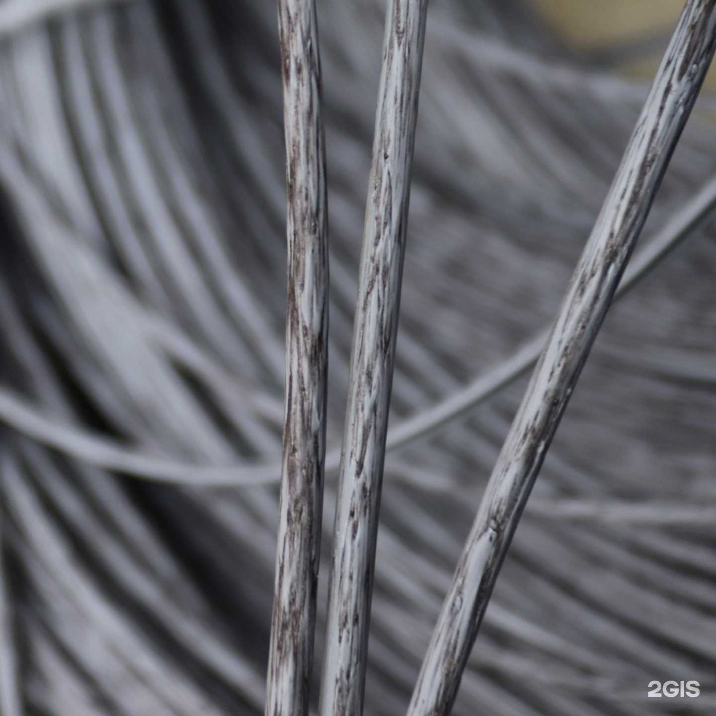 Отзывы на компанию Экоротанг в Димитровграде c фото