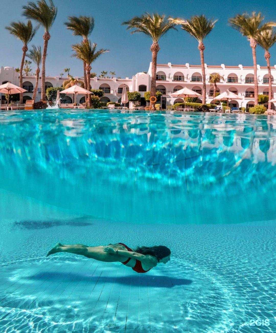 Отзывы на компанию Твой тур в Коломне c фото