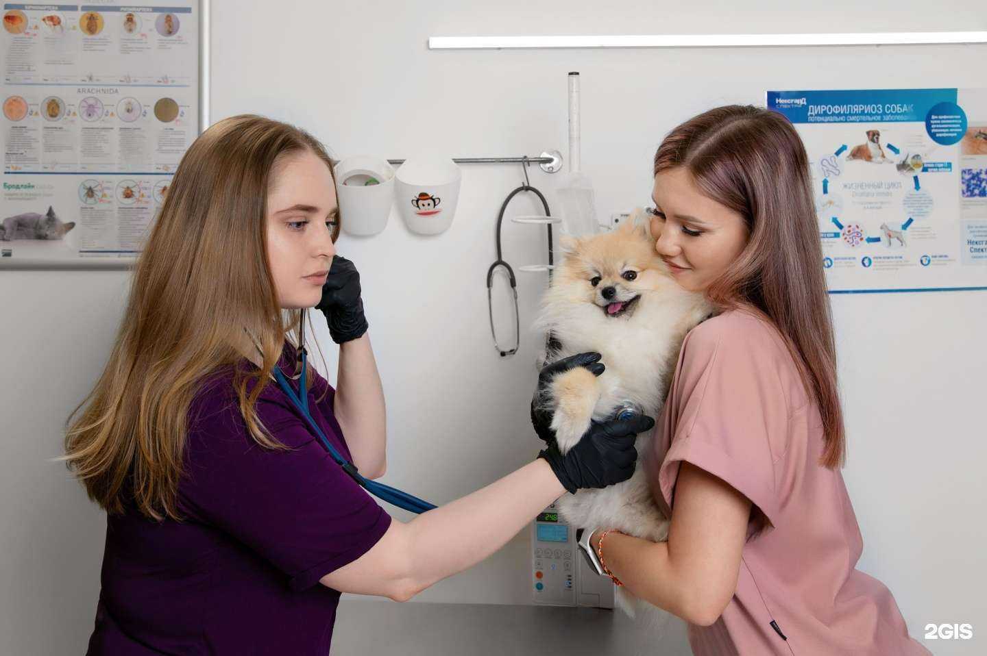 Отзывы на компанию Амиго в Череповце c фото