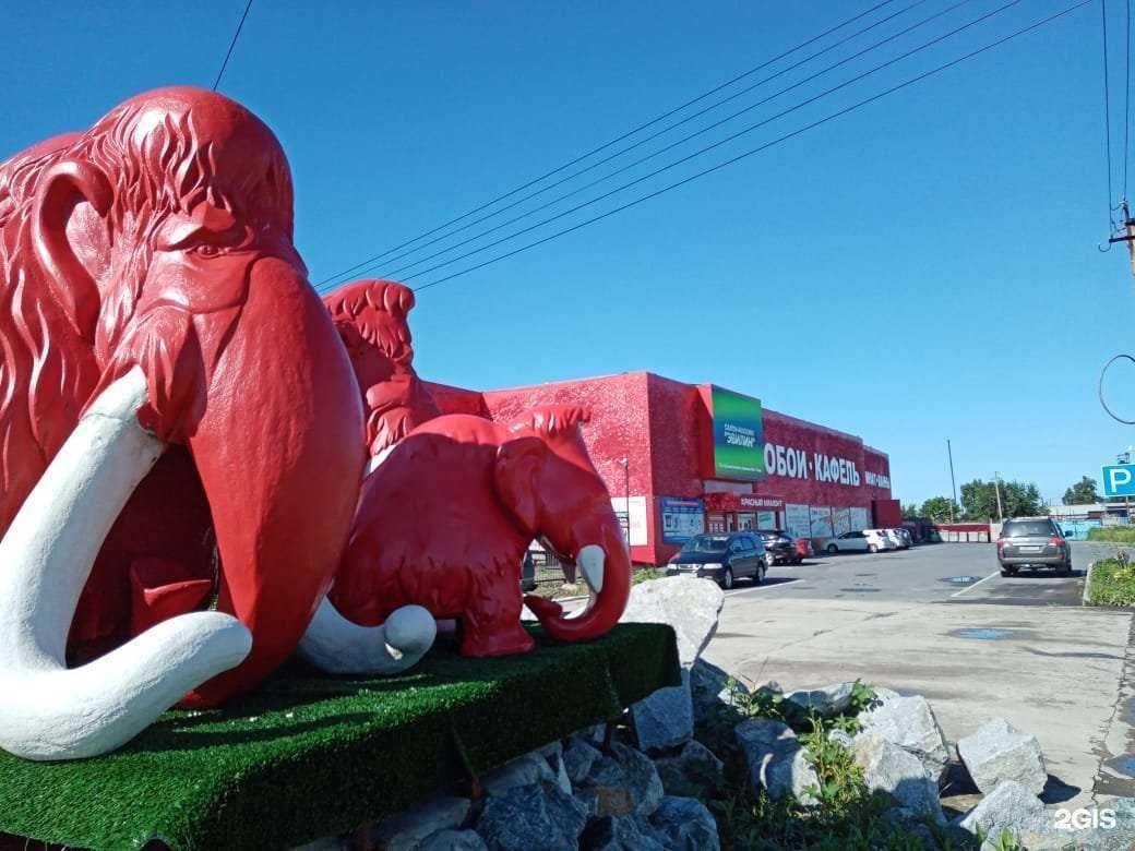 Отзывы на компанию Красный мамонт в Находке c фото