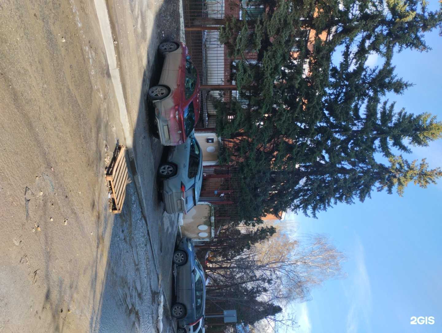 Отзывы на компанию Лев в Саратове c фото