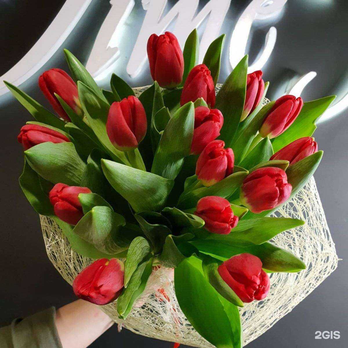 Отзывы на компанию Time Flowers в г. Якутск c фото