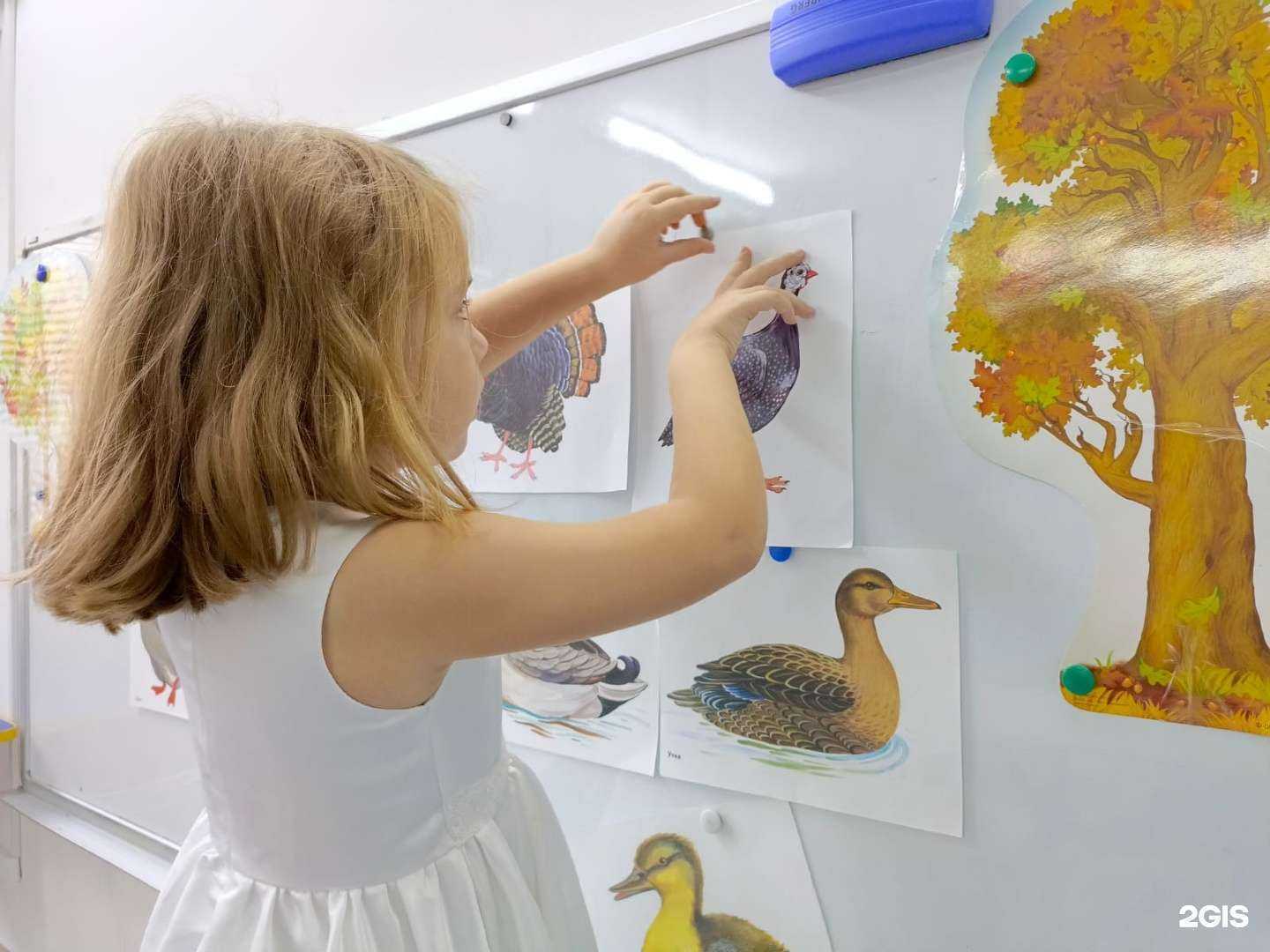 Отзывы на компанию Умка в г. Сочи c фото