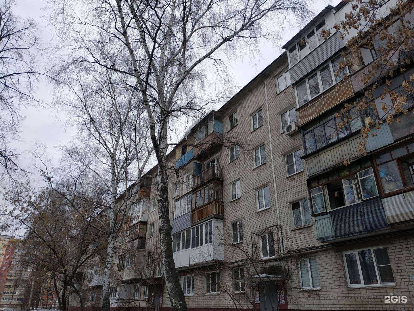 Отзывы на компанию Твой инструмент в Нижнем Новгороде c фото - фотография 2 из 2