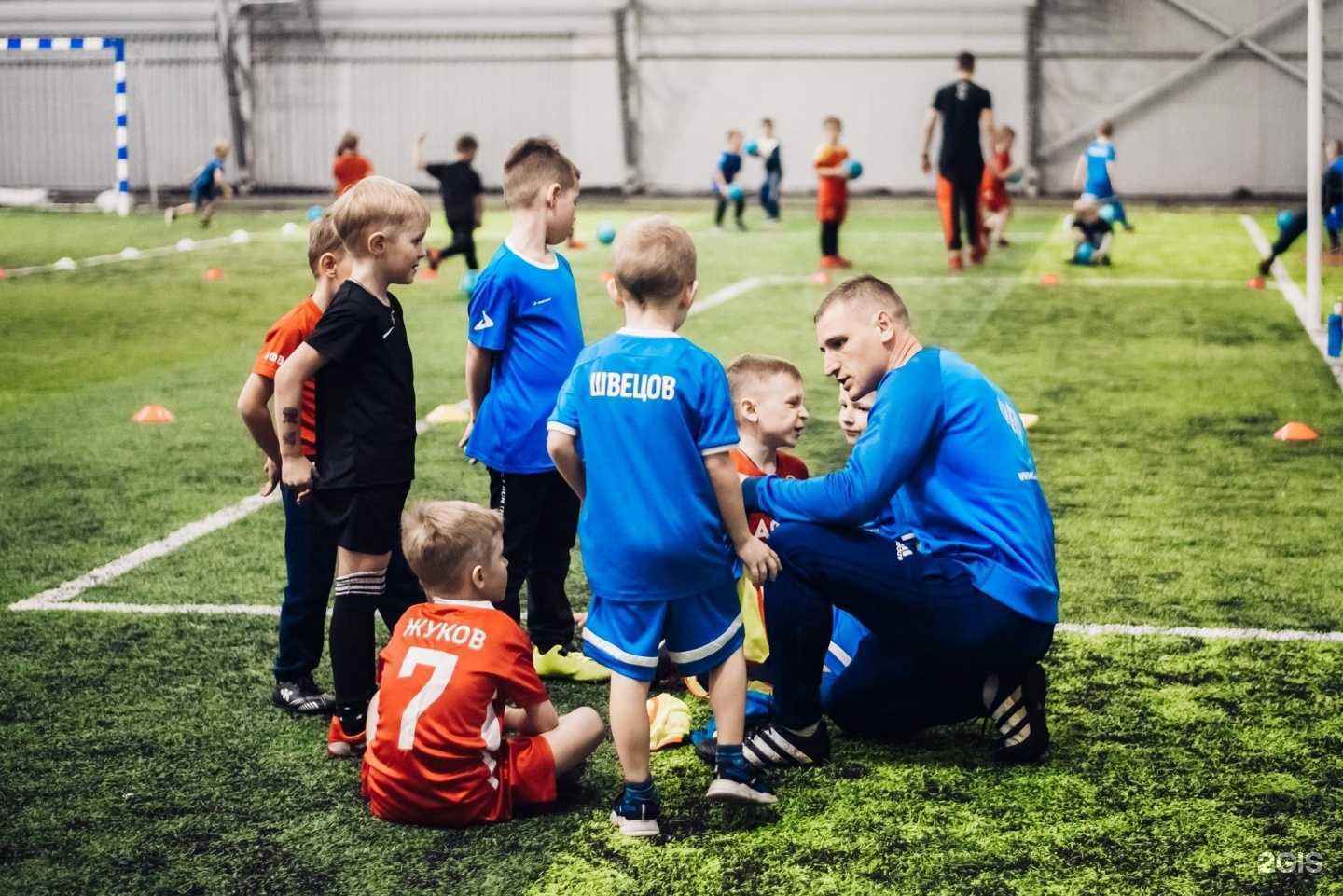 Отзывы на компанию Динамо в Воронеже c фото