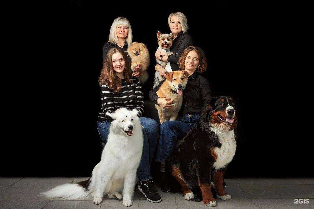 Отзывы на компанию Компания по предоставлению услуг фотосъемки с лошадьми в г. Екатеринбург c фото