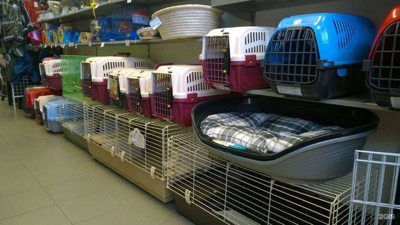 Отзывы на компанию Зоо-рай в Тольятти c фото