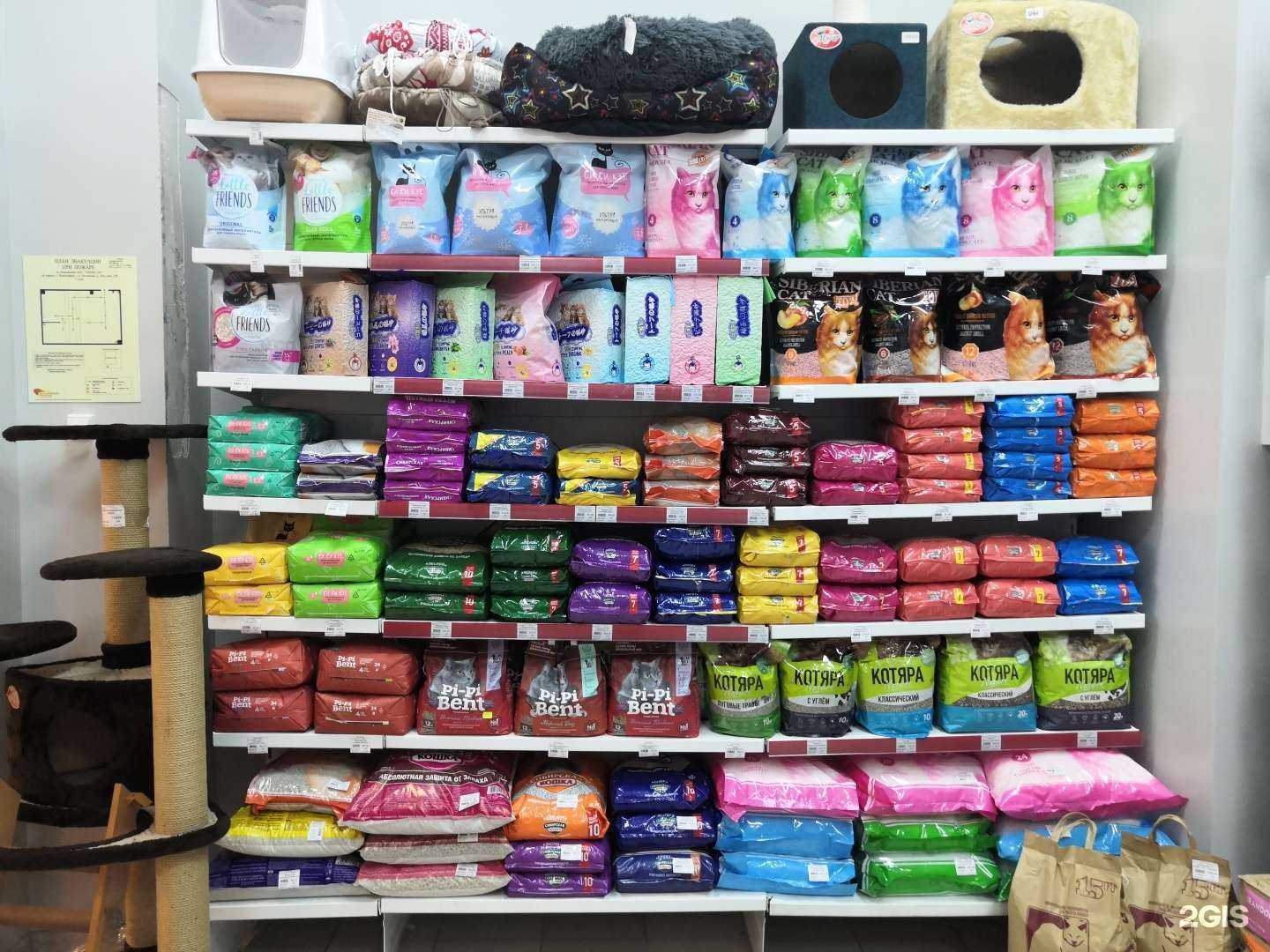 Отзывы на компанию Четыре лапы в г. Красноярск c фото