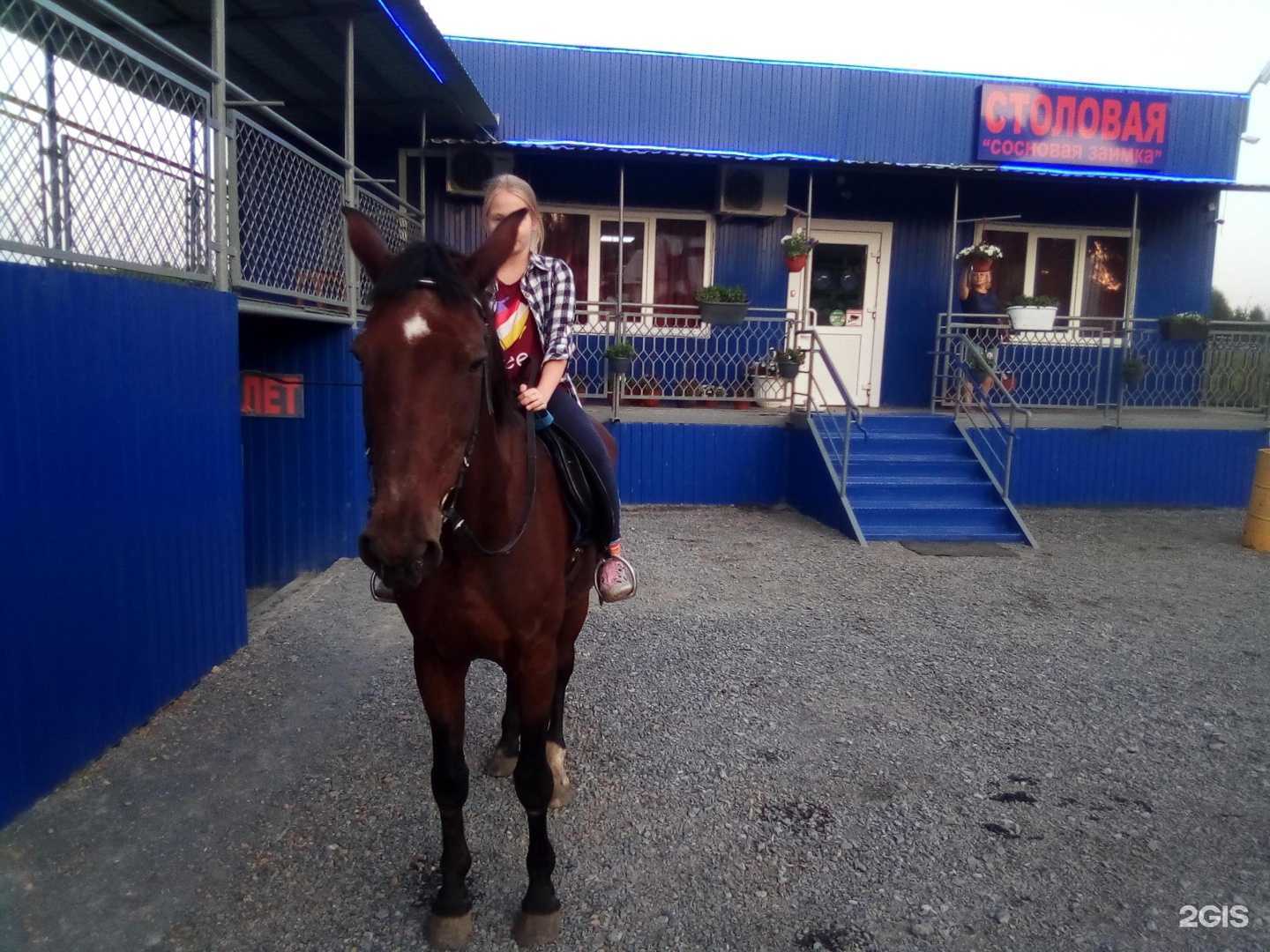 Отзывы на компанию Сосновая заимка в Топках c фото