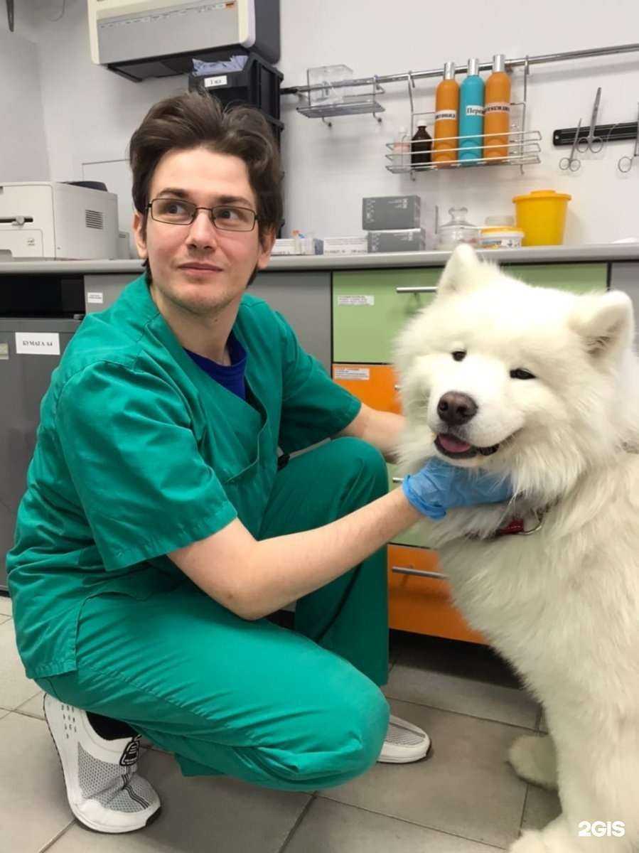 Отзывы на компанию ТомВет в г. Томск c фото