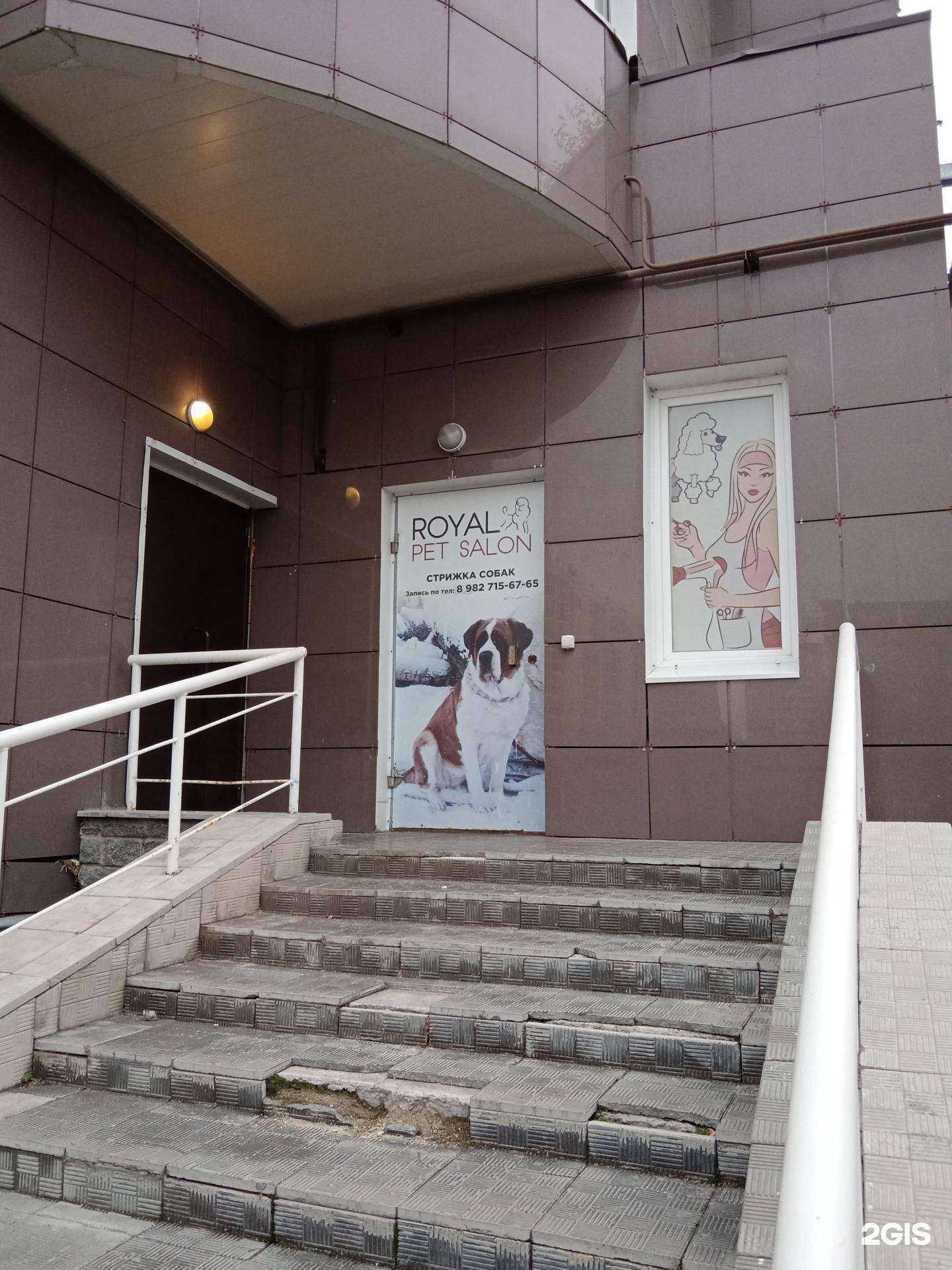 Отзывы на компанию Royal pet salon в Каменске-Уральском c фото