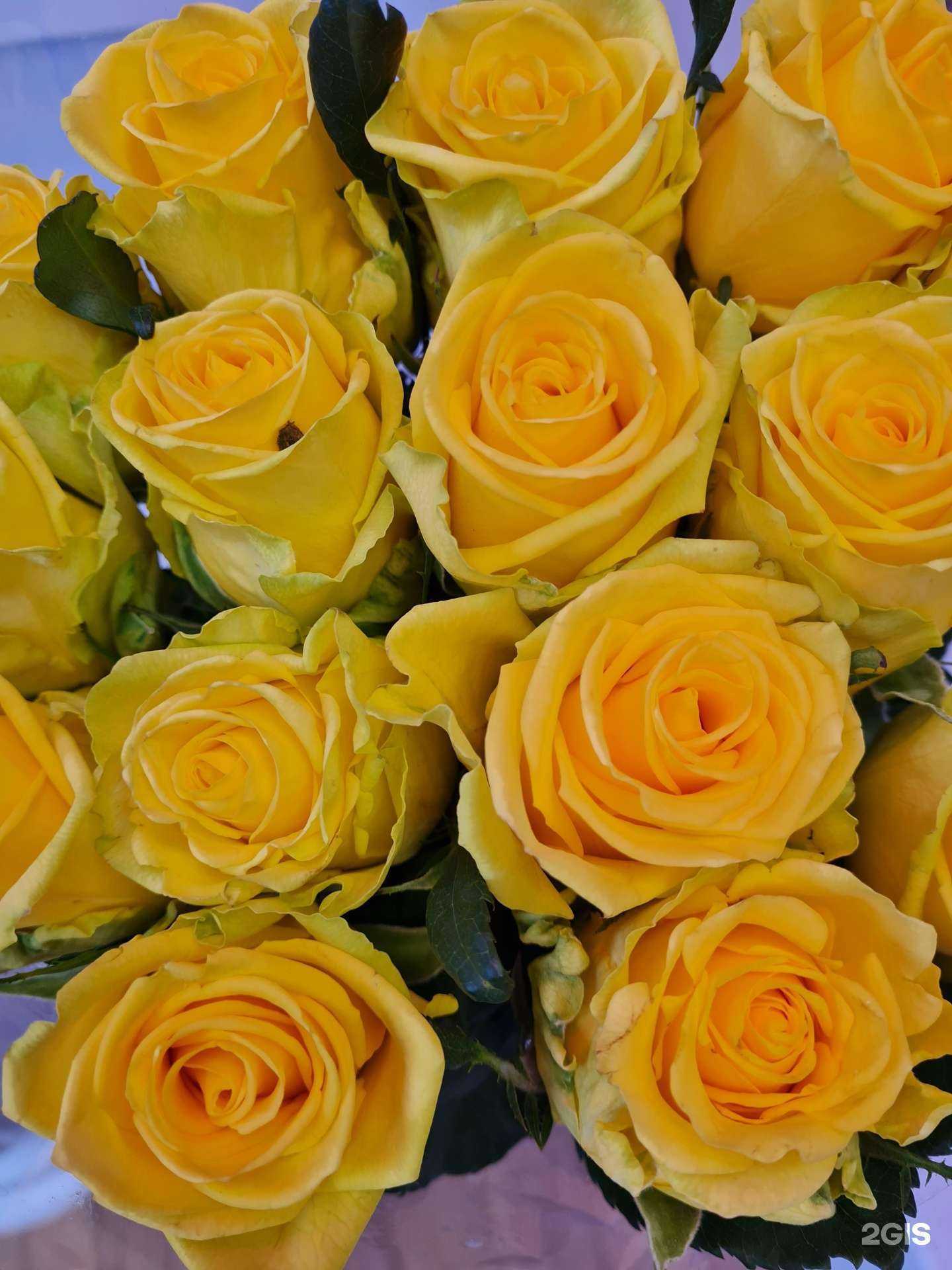 Отзывы на компанию База цветов в Самаре c фото