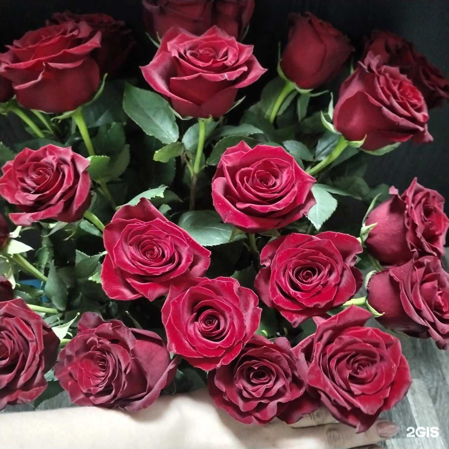 Отзывы на компанию Цветочный домик в г. Топки c фото