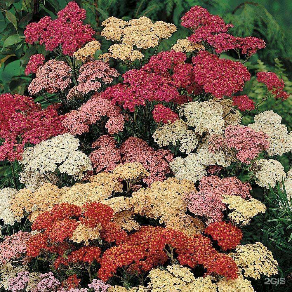 Отзывы на компанию Городское похоронное бюро в Воронеже c фото