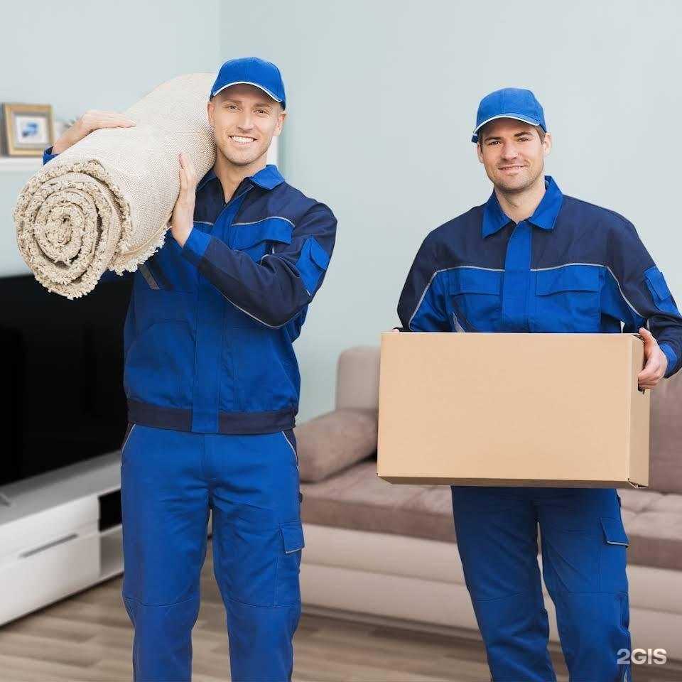 Отзывы на компанию Ньютон в Орле c фото