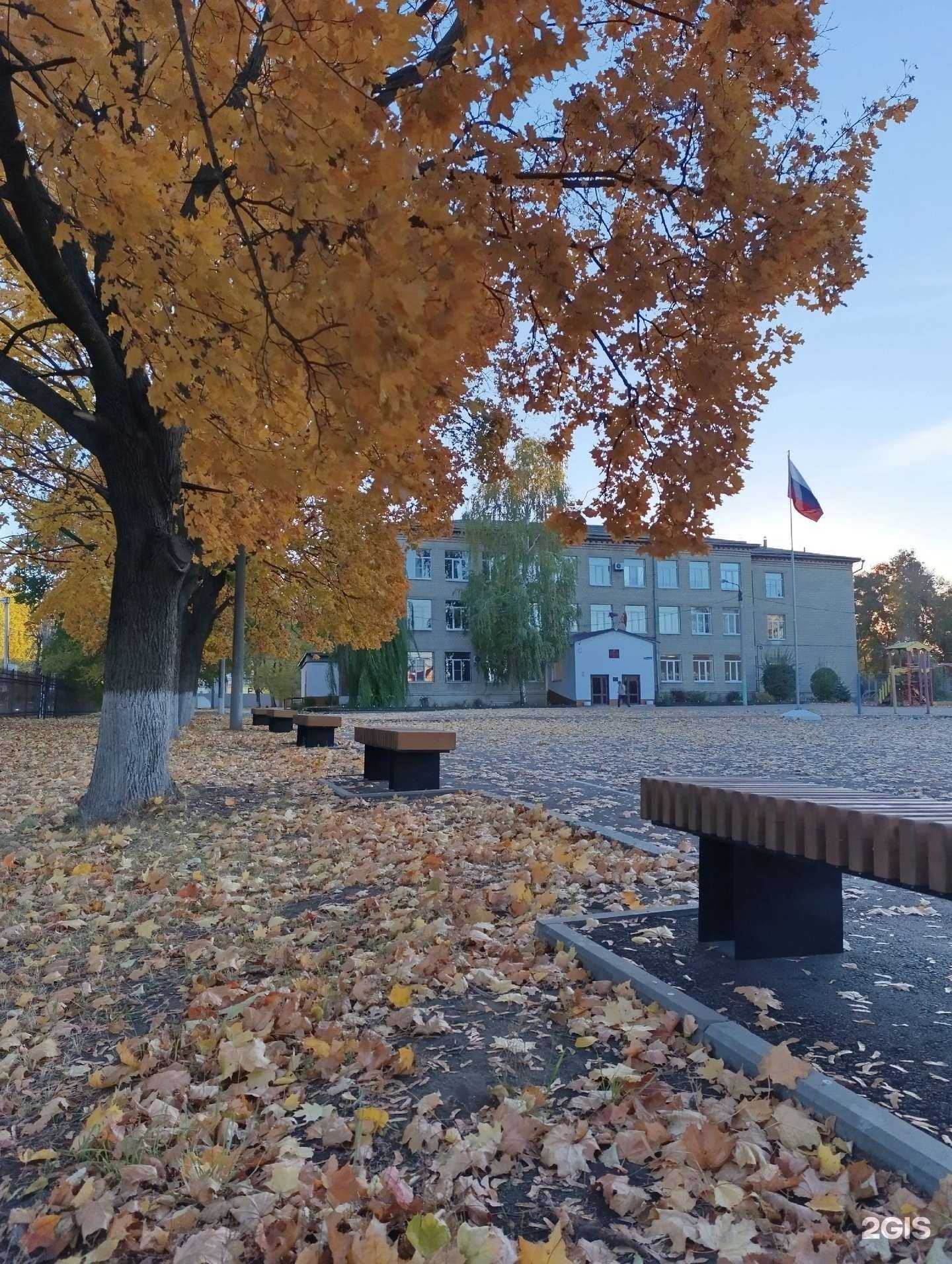 Отзывы на компанию Лицей №65 в Воронеже c фото