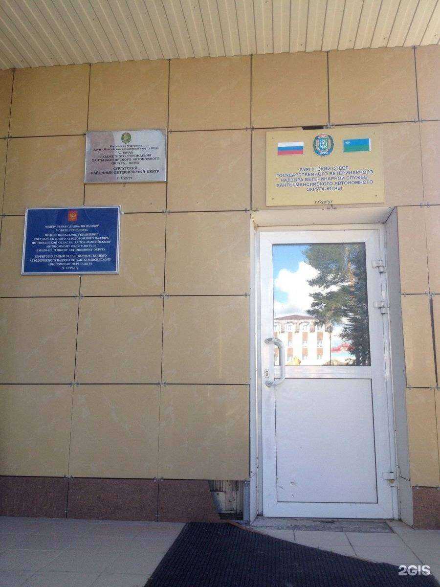 Отзывы на компанию Диал-Сервис в Сургуте c фото - фотография 2 из 2