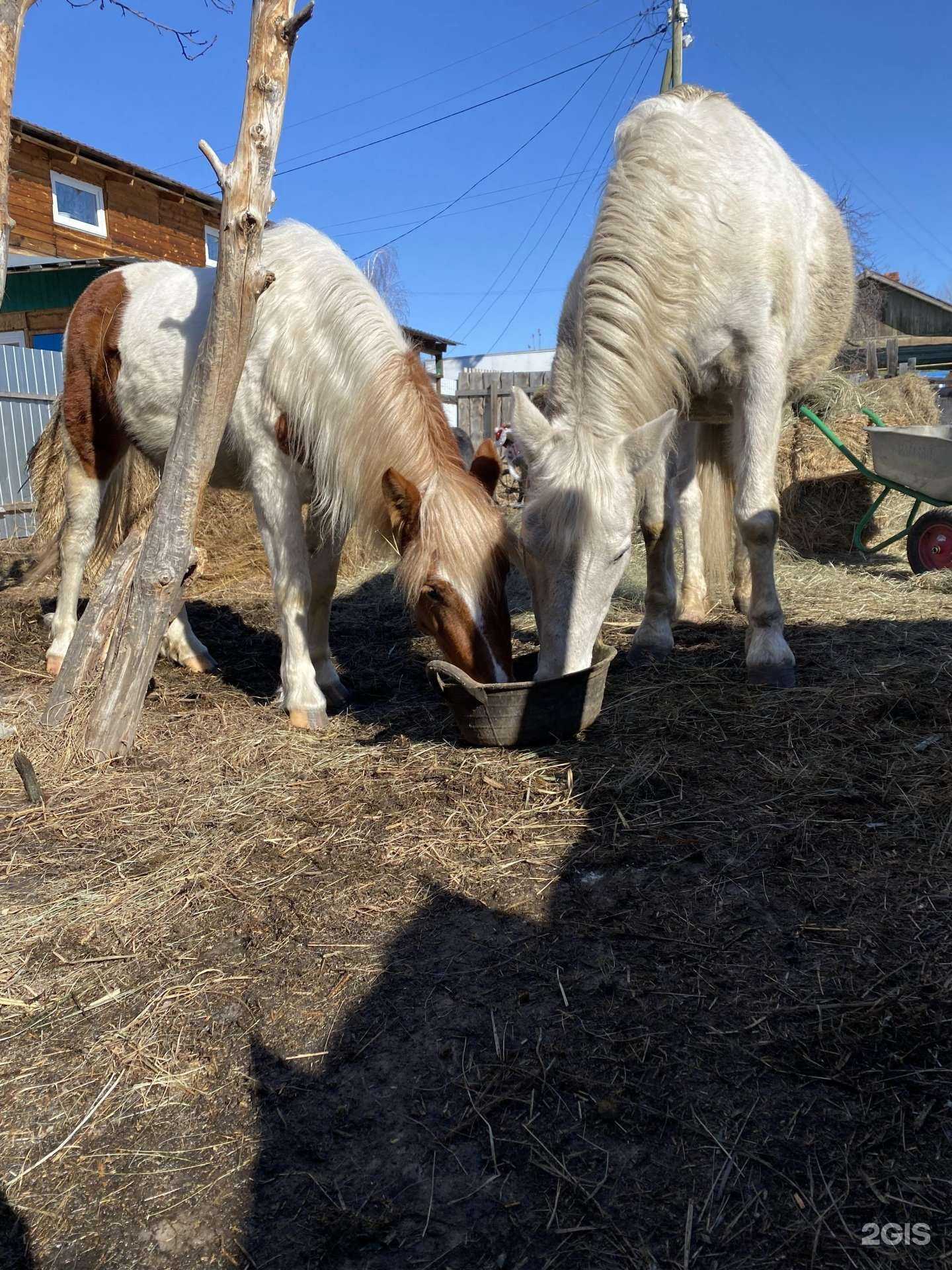 Отзывы на компанию Северная Звезда в г. Тюмень c фото