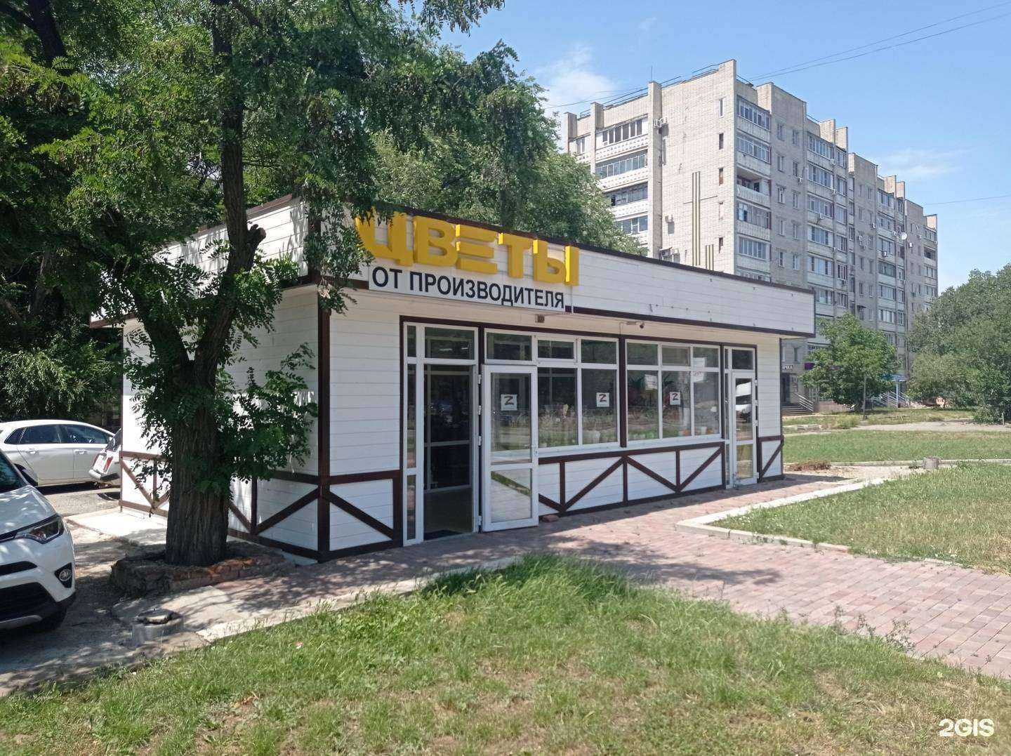 Отзывы на компанию Дом цветов в г. Невинномысск c фото