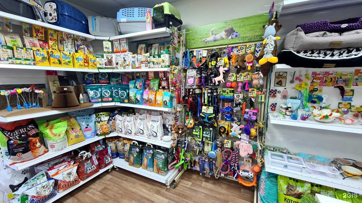 Отзывы на компанию Белый кролик в Воронеже c фото