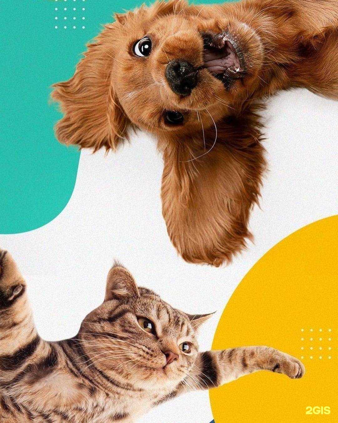 Отзывы на компанию Престиж в г. Октябрьский c фото