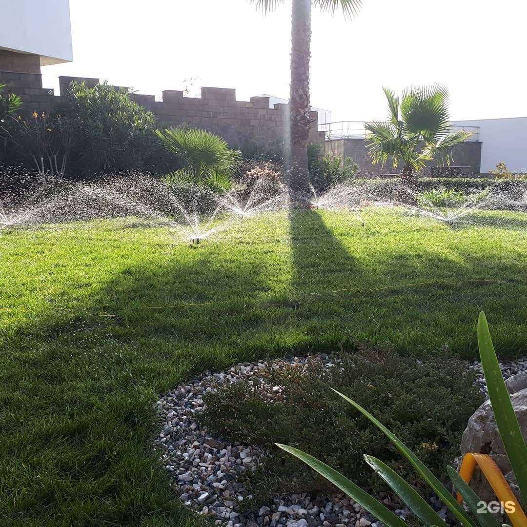 Отзывы на компанию Flora life в Сочи c фото