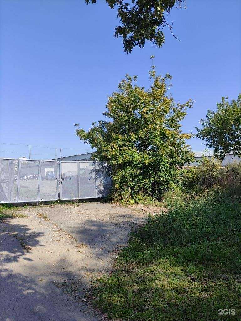 Отзывы на компанию Бибомания в Долгопрудном c фото