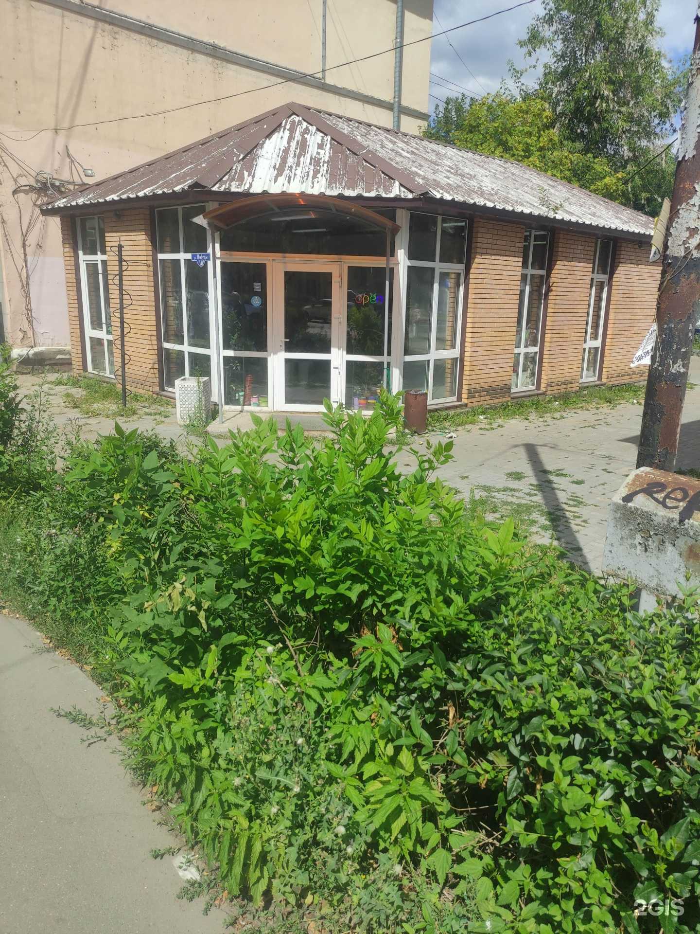 Отзывы на компанию Магазин цветов в г. Воскресенск c фото