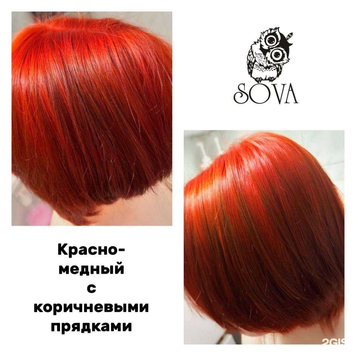 Отзывы на компанию Sova в Сургуте c фото