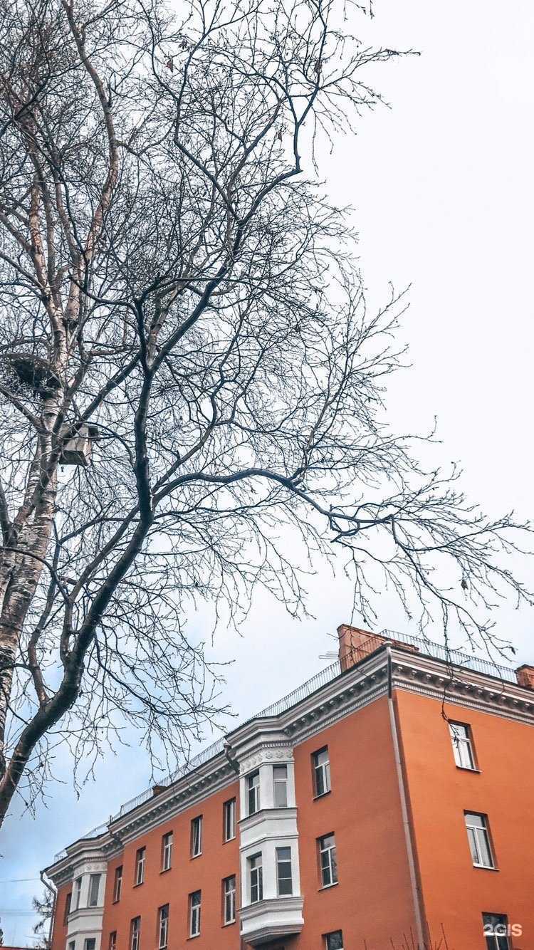 Отзывы на компанию Краски Карелии в г. Петрозаводск c фото