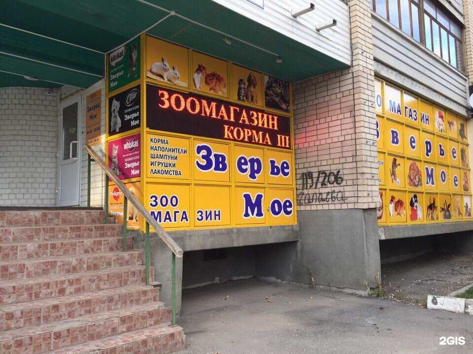 Отзывы на компанию Зверьё моё в Саратове c фото