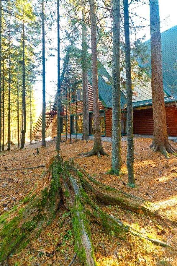 Отзывы на компанию Миснэ в Ханты-Мансийске c фото