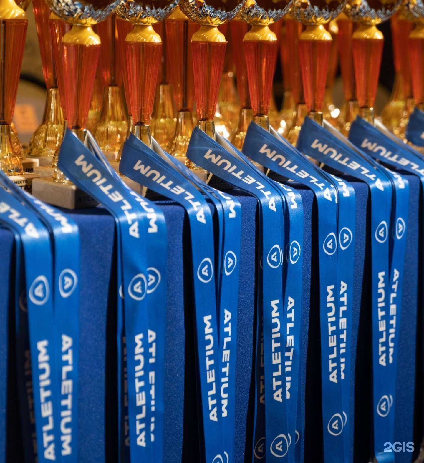 Отзывы на компанию Atletium в г. Саранск c фото