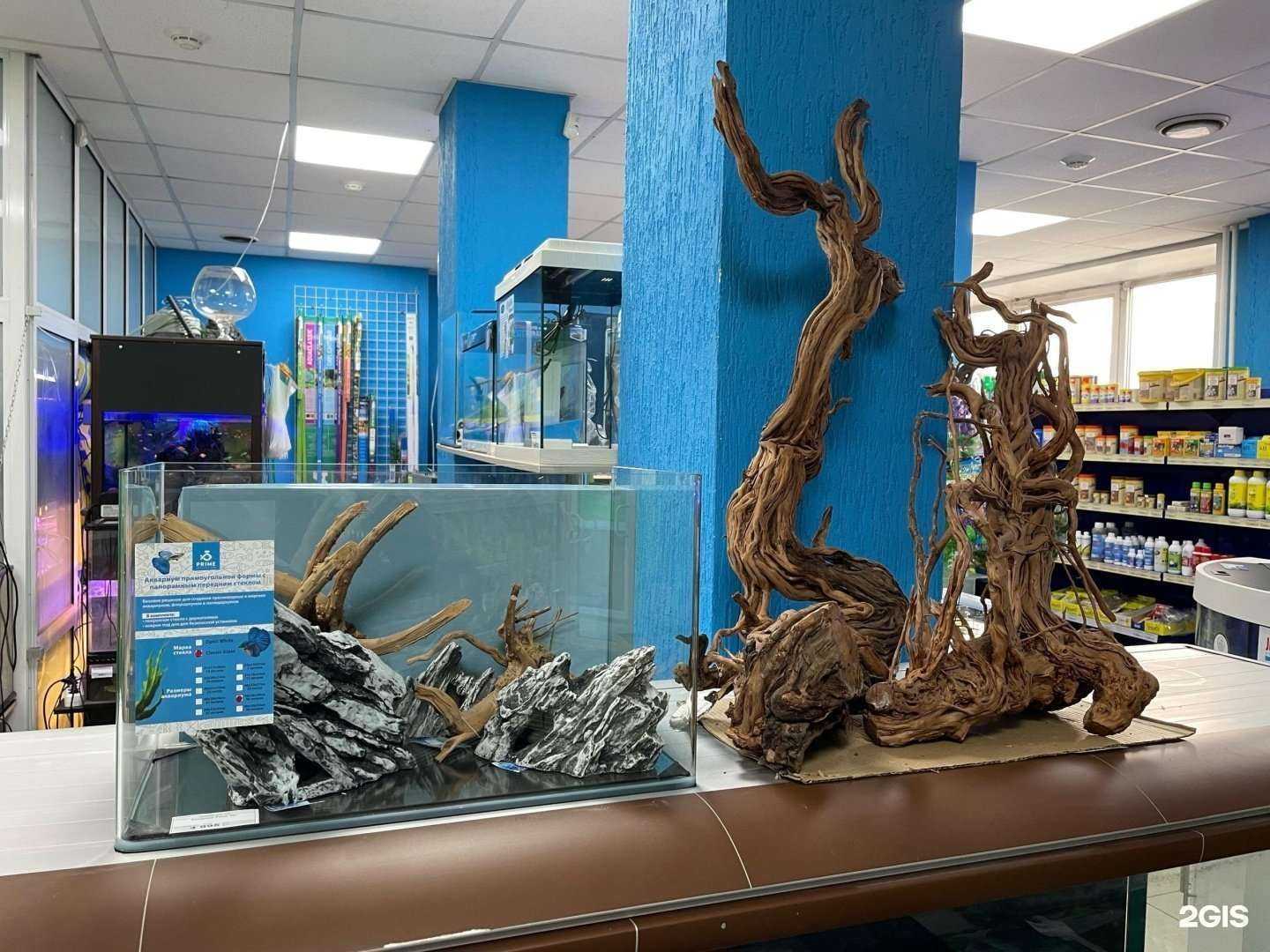 Отзывы на компанию Аквариум-зоомир в Красноярске c фото