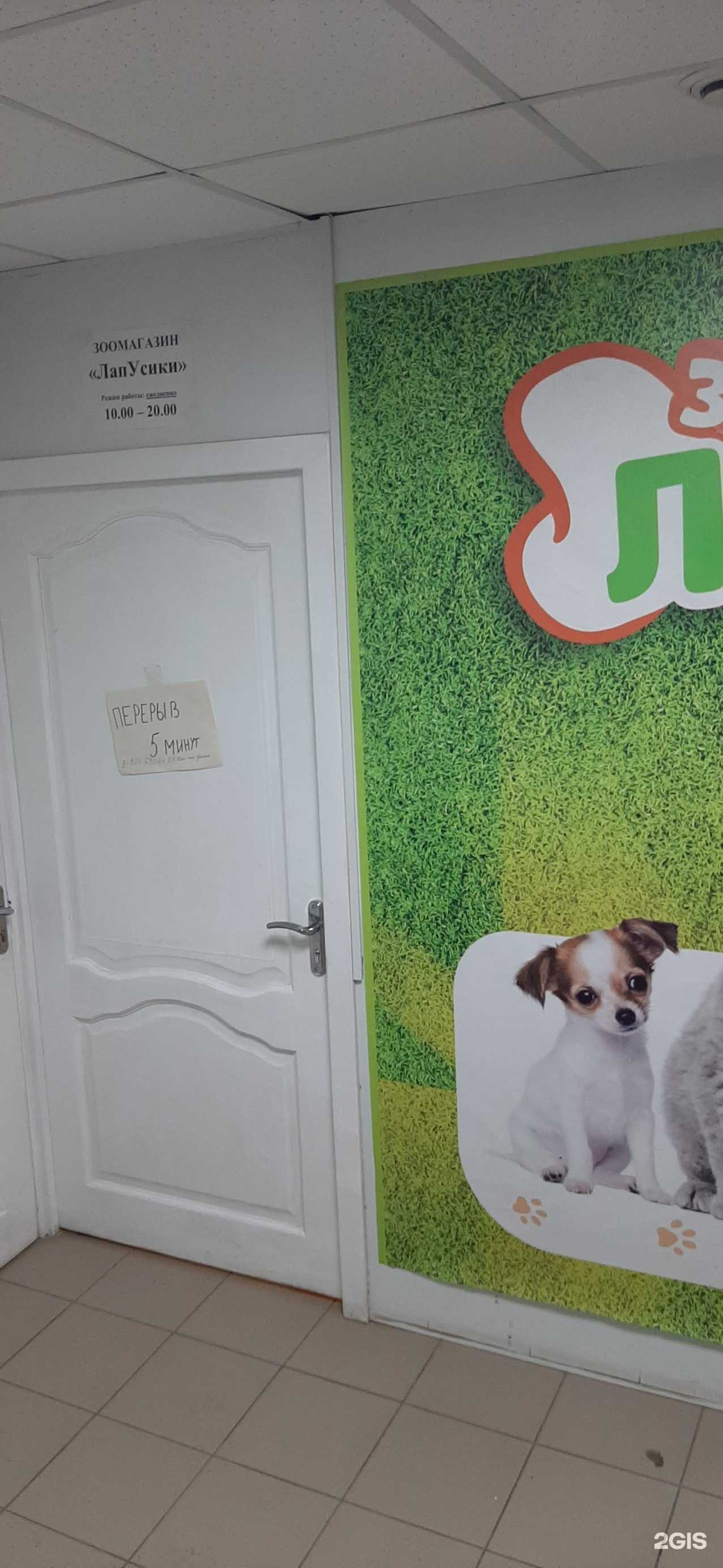 Отзывы на компанию ЛапУсики в Липецке c фото