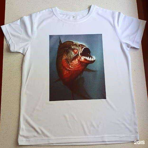 Отзывы на компанию КопиТон в Черкесске c фото