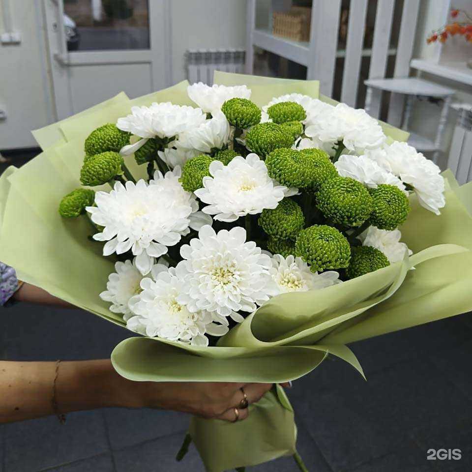 Отзывы на компанию Дом Роз в Электростали c фото