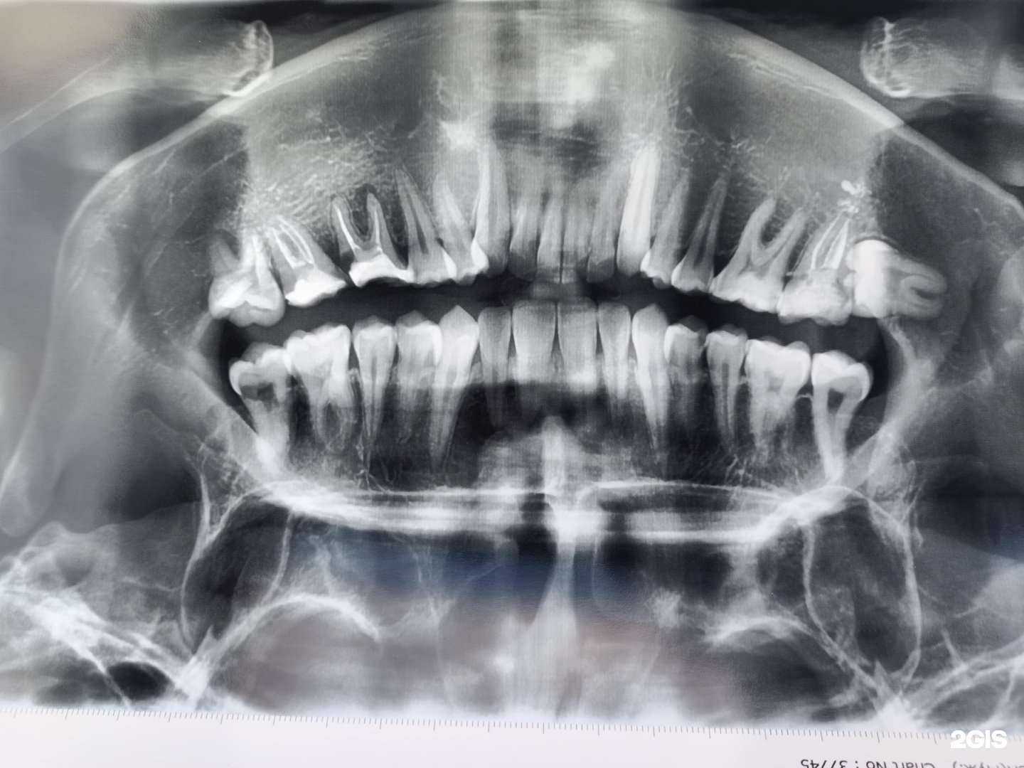 Отзывы на компанию Селена в Новосибирске c фото