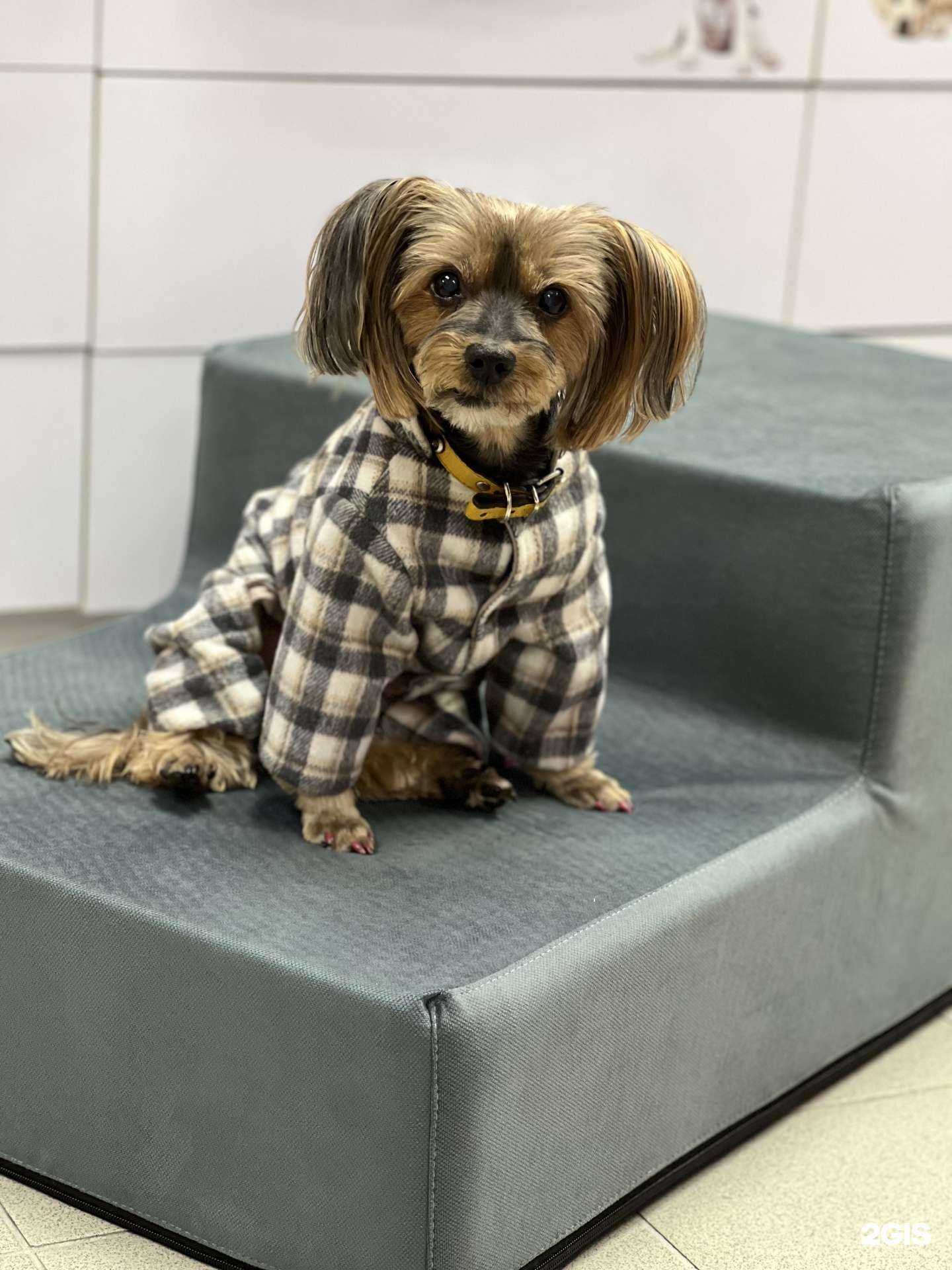 Отзывы на компанию ГлаМур в г. Петропавловск-Камчатский c фото