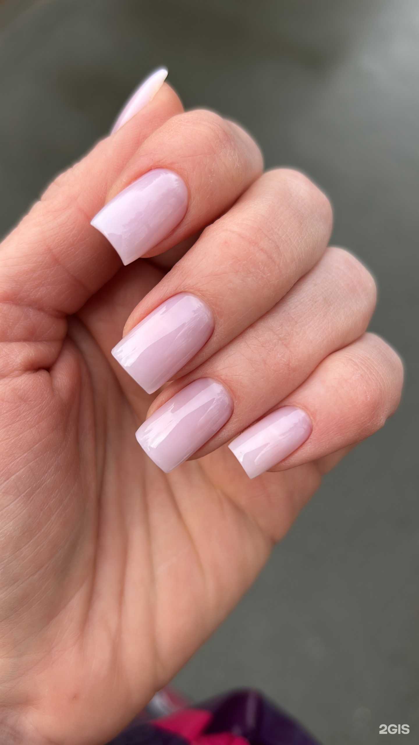 Отзывы на компанию NellyNail`s в Новосибирске c фото