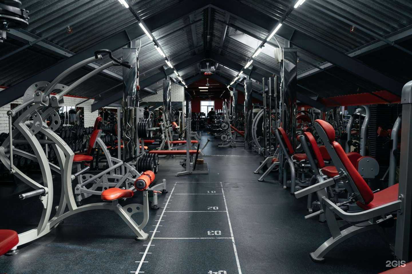 Отзывы на компанию Экстрим фитнес в г. Новосибирск c фото