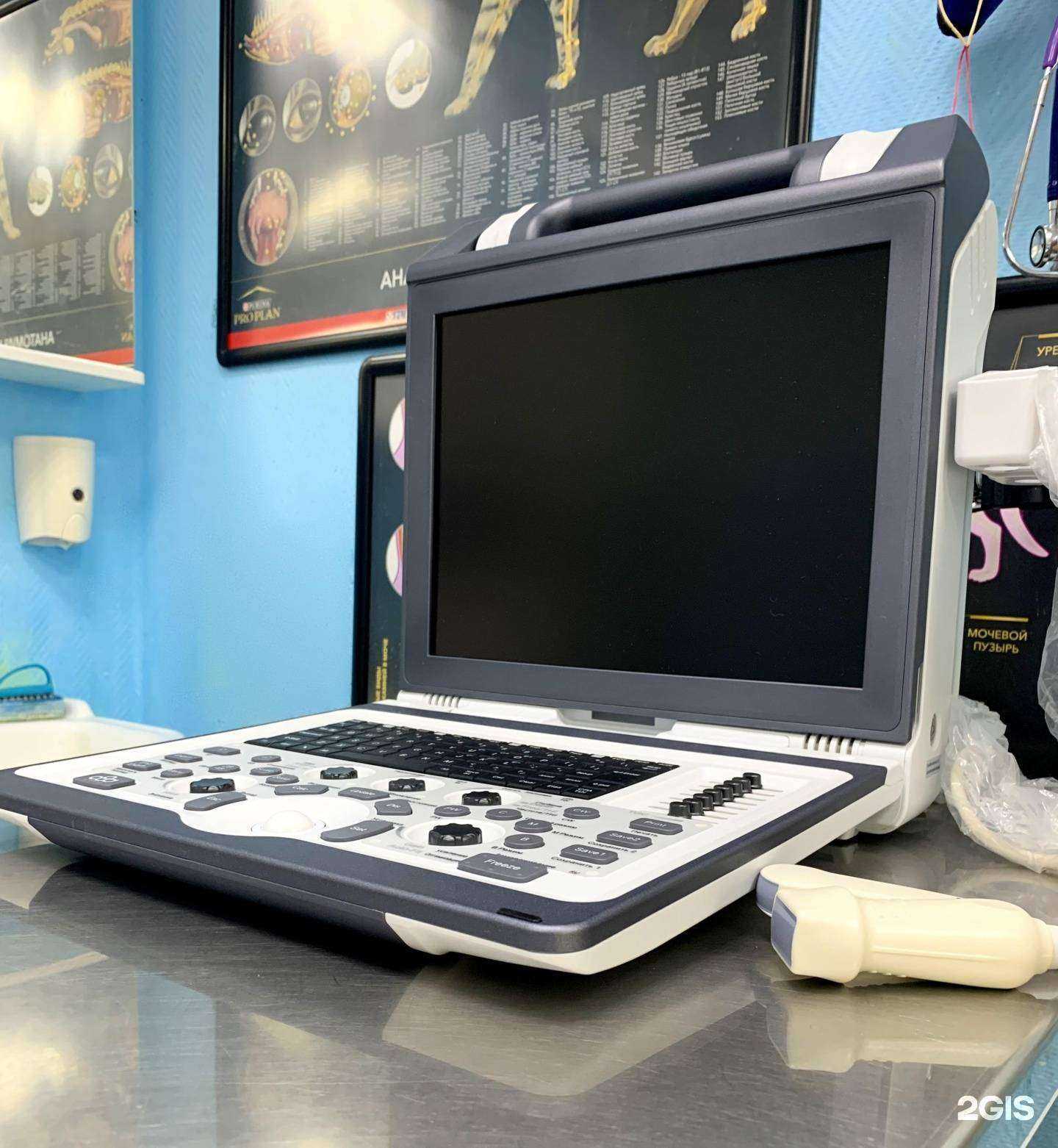 Отзывы на компанию ZooMarkt в г. Лобня c фото