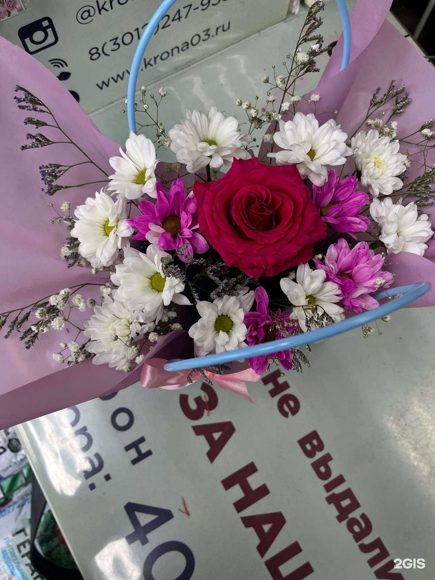 Отзывы на компанию Мята в г. Улан-Удэ c фото